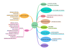Zoology Mind Map